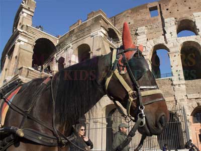 Colosseum & Forum Tourfor Kids Pic 9