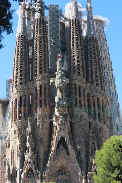 Gaudi and Sagrada Famillia Tour for Kids Pic 2